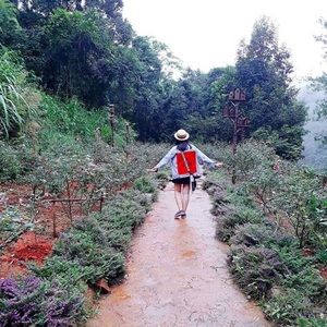 Meet your Posher, Cam giang